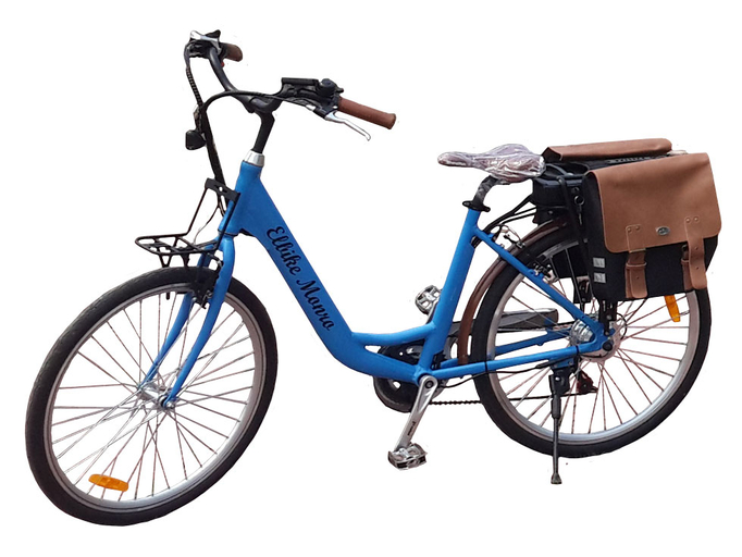 Электровелосипед Elbike Monro