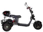 Электротрицикл SKYBOARD TRIKE BR40-3000 PRO FAST - Фото 2