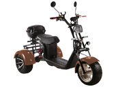 Электротрицикл SKYBOARD TRIKE BR60-3000 PRO - Фото 8