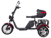 Электротрицикл SKYBOARD TRIKE BR80 - Фото 4