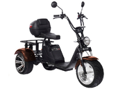 Электротрицикл SKYBOARD TRIKE BR80 - Фото 22