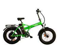 Elbike Taiga 2 Vip 13 (Зеленый)