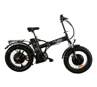 Elbike Taiga 3 Twix (Черный)